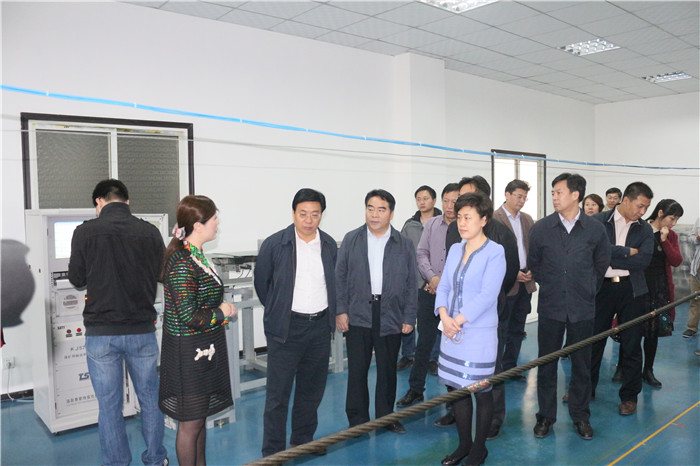 洛阳市市长及各导来洛阳快猫视频在线观看调研考察