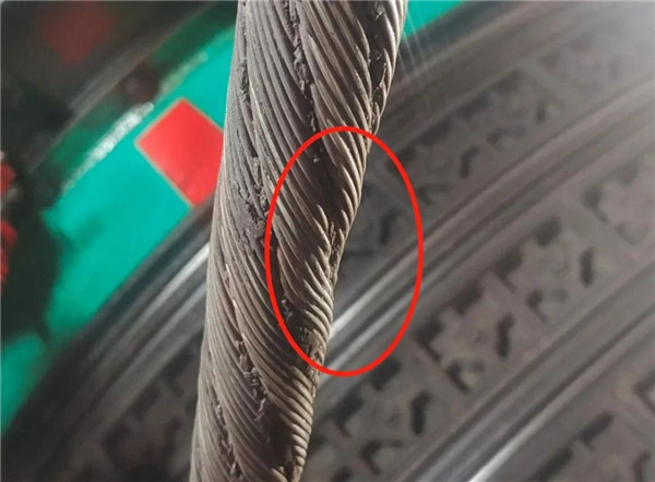 新快猫成人污App探伤